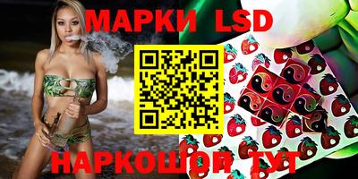 стафф Кандалакша