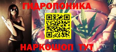 стафф Кандалакша
