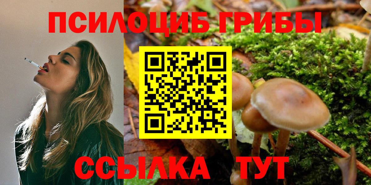 Карпинск  Галлюциногенные грибы MAGIC MUSHROOMS  Вход с VPN  Галлюциногенные грибы GOLDEN TEACHER 